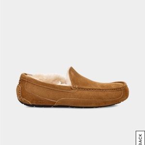 UGG Ascot Suede Men's Slippers, Brown Size: 9